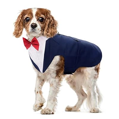 Dog Tuxedo, Dog Suit and Bandana Set Pet Clothes Formal Shirt Doggie Costume Outfit for Wedding Party Festival Halloween Christmas Birthday for Small Medium Large Dogs (Blue, M)