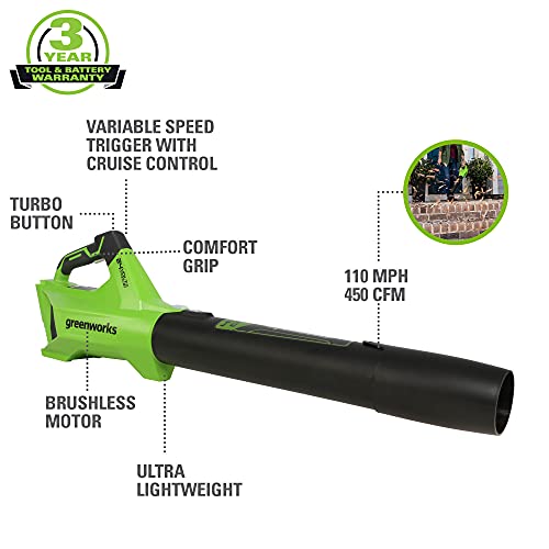 Greenworks 48V 20" Brushless Cordless Electric Lawn Mower, Leaf Blower