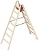 Produktbild Layher Holzleiter Stehleiter nach Ö-Norm 1053 7 Sprossen Arbeitshöhe 3,30 m