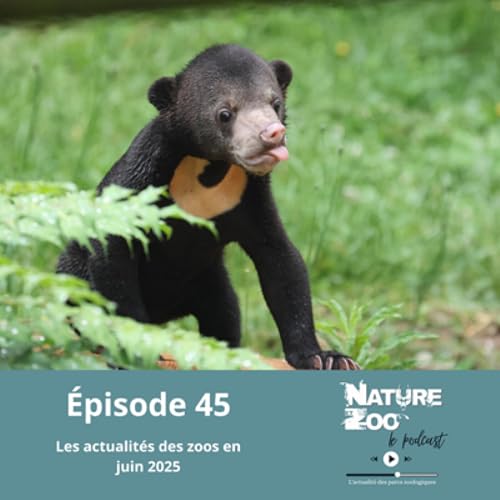 Page de couverture de Épisode 45 (ACTU) - Les actualités en juin 2025
