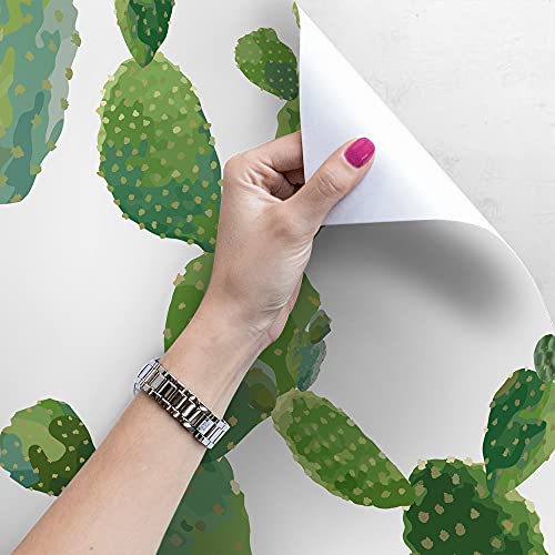 Fotomurale cactus natural para tapar imperfecciones de pared grandes 4