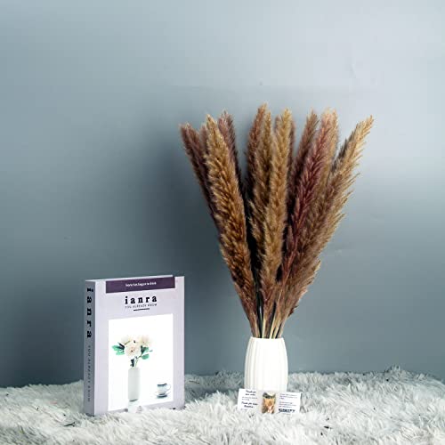 KUNSTIFY pampas decorative, fiori secchi