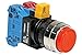 Idec HW4B-M211-B 22mm Pushbutton Black