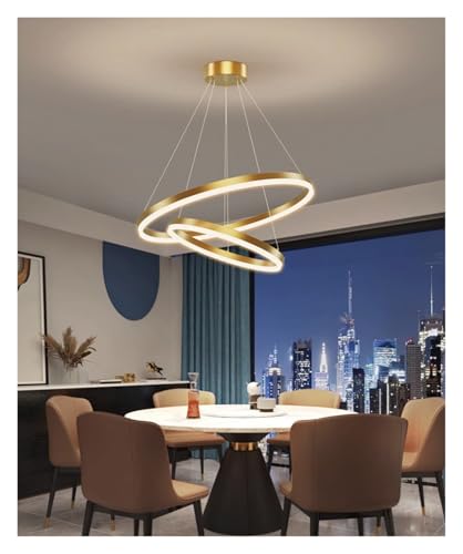 Chandelier salle à manger LED luminaire suspendu pour salon contemporain