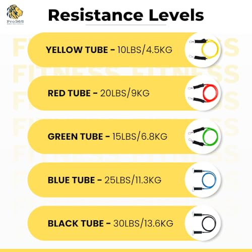 Image of PRO365 Premium Resistance Bands | Visible 100 Lbs Adjustable | Full Set | Thickened Door Anchor | Soft Cushioned Handles | Ankle Straps | Carry Bag | Instruction Manual | 6 Months Warranty