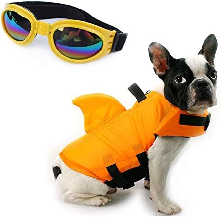 amazon dog life jacket shark
