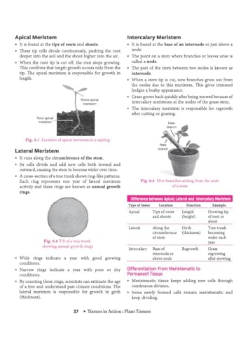 Image of ARIHANT ALL IN ONE CBSE EXPLORATION SCIENCE CLASS 9 FOR 2027 EXAMS -ALLSCI9