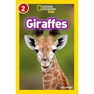 Giraffes