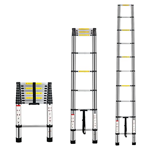 Multibao 2.9m Telescopic Ladder
