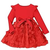 Kids4ever Todddler Tutu Dresses for 2T Baby Girls Tulle Back to School Dressy Red Flying Sleeve Elastic Waist Red Skirts Size 2-3 Year Old Girl Party Dress