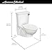 American Standard 2882107.020 Glenwall VorMax Wall-Hung Elongated Toilet with Left Hand Trip Lever, 1.28 Gpf, White