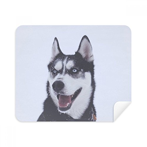 Chiffon de nettoyage husky 2pcs en tissu suède pour écrans et lunettes