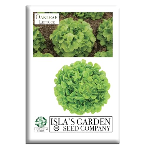 Oakleaf Leaf Lettuce Seeds – 1000+ Heirloom Seeds per Packet by Isla’s Garden Seeds, Tender Loose-Leaf Greens, Fast Harvest for Salads, Containers & Home Gardens, Gift Idea