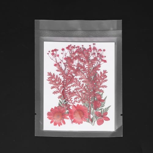 Flores secas prensadas naturales rojas para manualidades miniatura 4
