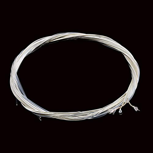 Geshiglobal Lot de 6 cordes en nylon pour guitare classique 1 m 1-6 E B G D A E - Les Beatles, Paul McCartney, John Lennon, RIngo Starr, George Harrison Geshiglobal Lot de 6 cordes en nylon pour guitare classique 1 m 1-6 E B G D A E – Image 4