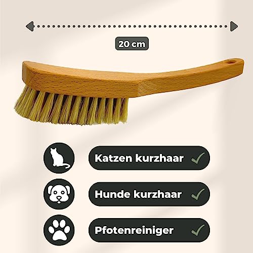 Grünschloss Hundebürste kurzhaar & Katzenbürste weiche Naturborsten - sanfte Tierbürste Holz mit Massage Effekt & Pfotenreiniger Hunde klein + Katzenbürste Pfote (Made in Germany) Bürste Katze Holz