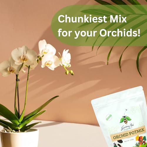 Image of Orchid Soil Mix (0.5KG), Chunkiest Potting, Ready to use Mixture, COMBO with Moss Grass, 100% Natural and Organic, Tall Shiny Orchids, Essential & Powerful (500 Grams + 25 Gm Moss Grass)