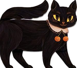 Book cover One Black Cat