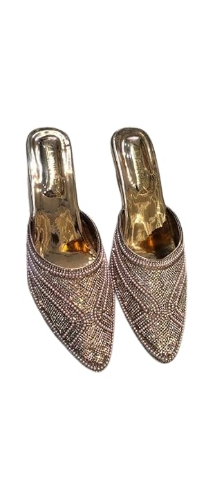 Alishan Brothers Women's Metallic Embellished Pointed Toe Mules, Slip-on Style (Brown, UK Footwear Size System, Adult, Women, Numeric, Narrow, 6)