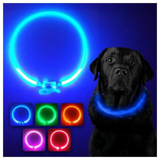 PetSol LED Hondenhalsband Ultra-heldere USB oplaadbare LED-halsband voor hondveiligheid - Op maat gesneden - Oplaadbare lithiumbatterij - Verbeterde zichtbaarheid en veiligheid voor uw huisdieren (Blauw)
