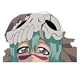 Nel tu Oderschvank Peeker Anime Vinyl Decal Sticker UV & Water Proof Water Bottle Bumper Window Laptop Gift in USA Made 4'