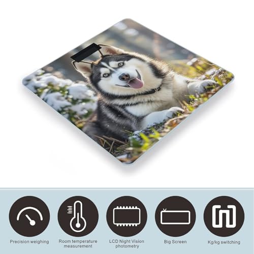 Báscula digital de baño con vidrio templado y pantalla LCD miniatura 3
