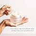 Incellderm Active Cream 50ml - Strengthen Skin Barrier, Plant Stem Cell, Intense Moisturizing, All Skin Types, K-Beauty, Made in Korea
