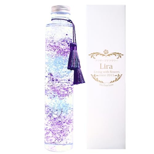 Ԍt yӂ̋Cz ݑ an[oE vU[uht[Lira 21.5p ~^ Mtg v[g 蕨 (^bZtN[u[)