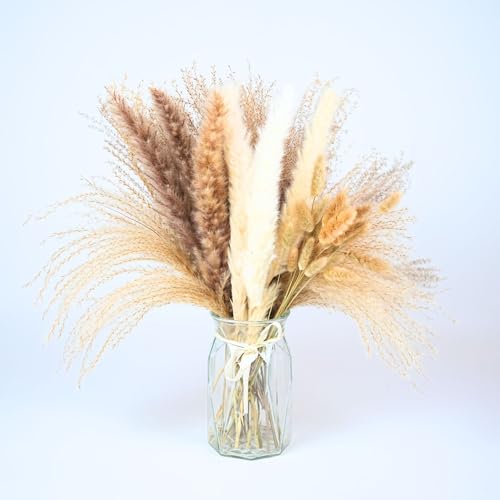 Ramo Grande de Hierba Pampas Natural Secada 40-45cm miniatura 2