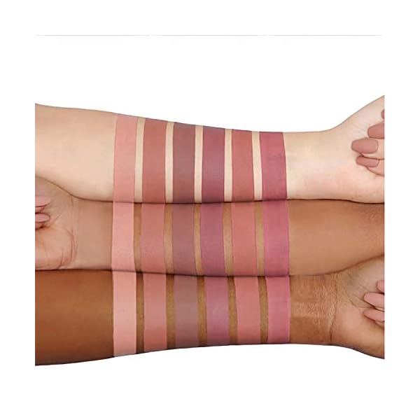 Topcent Matte Liquid Lipstick Sets, 6 Nude Colors Non-stick Cup Not Fade Waterproof Lip Gloss, Long-Lasting Lip Makeup Gift Set for Women, Lip Stains Pack Bundles (SET-B)