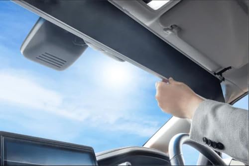 VVF[h TVF[h  펞t^ tg At@[h Ft@CA [XN[ グ Ռ   Ԓ UVJbg [sAi]