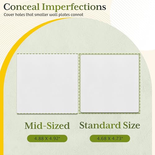 TG Mid-Size Screwless Double Blank Wall Plate Cover, 2-Gang, 1 Pack, White by TG - Used condition - Image 2