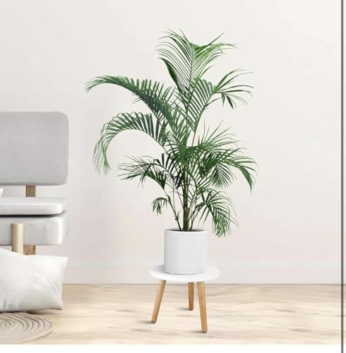 Image of Round Coffee Table Set of 3, Marble Laminated Accent Center Table with Sturdy Metal Base Modern Foldable Nesting Stacking Tables for Living Room, Bedroom. (Modern, White)