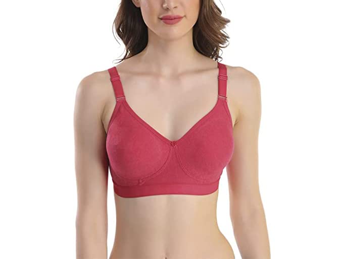 Image of SKDREAMS Blue & Brown & Purple-32D Cotton Blend Seamless Non Padded Non-Wired Full Coverage Pack of 3 Women T-Shirt Bra Combo