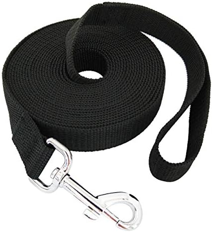 long backyard dog leash