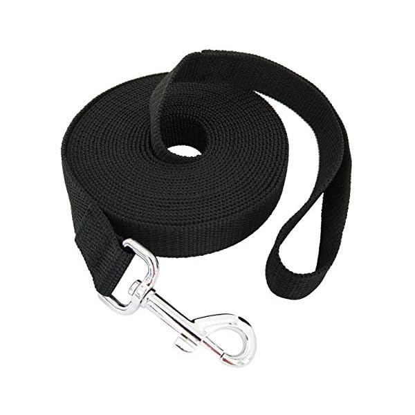 TAIDA 20ft 30ft 40ft 50ft Nylon Long Training Dog Leash for Small Medium Large Dogs, Long leashes Dog/Puppy Lead for Obedience Recall Training, Camping, or Backyard, 1 inch Wide TAIDA 20ft 30ft 40ft 50ft Nylon Long Training Dog Leash for Small Medium Large Dogs, Long leashes Dog/Puppy Lead for Obedience Recall Training, Camping, or Backyard, 1 inch Wide