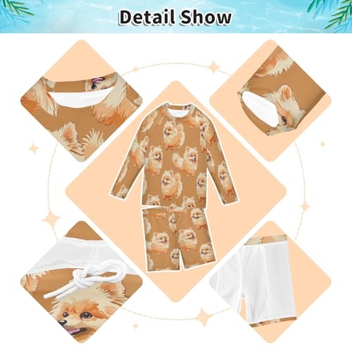 Pomeranian Boys Swimsuit Rash Guard Toddler Kids Long Sleeve Swim Shirt and Trunks Swimwear Set 3-10Y3