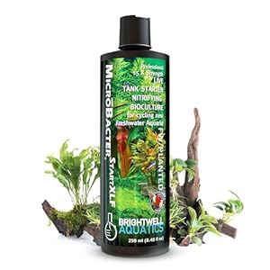 Brightwell Aquatics MicroBacter Start XLF – Concentrated Freshwater Nitrifying Bacteria – Quick Start Fish Tank Starter, Lift Microbe Levels & Water Filtering – Aquarium Water Treatments, 8.45 fl oz