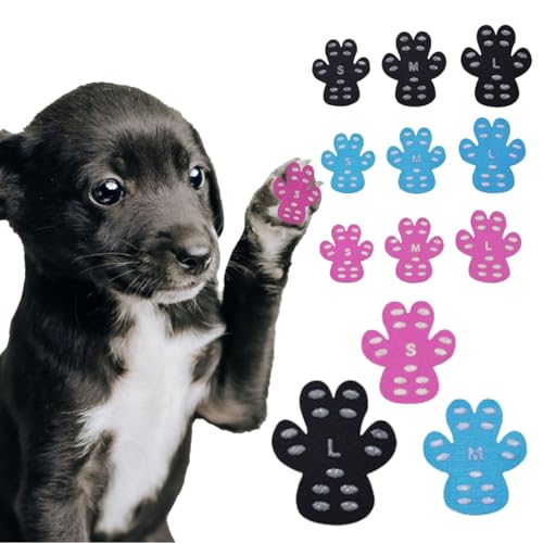 EU SOU  ~ V[ pbh V[ p~ ی ybgpV[Y t[O (u[i20j, S)