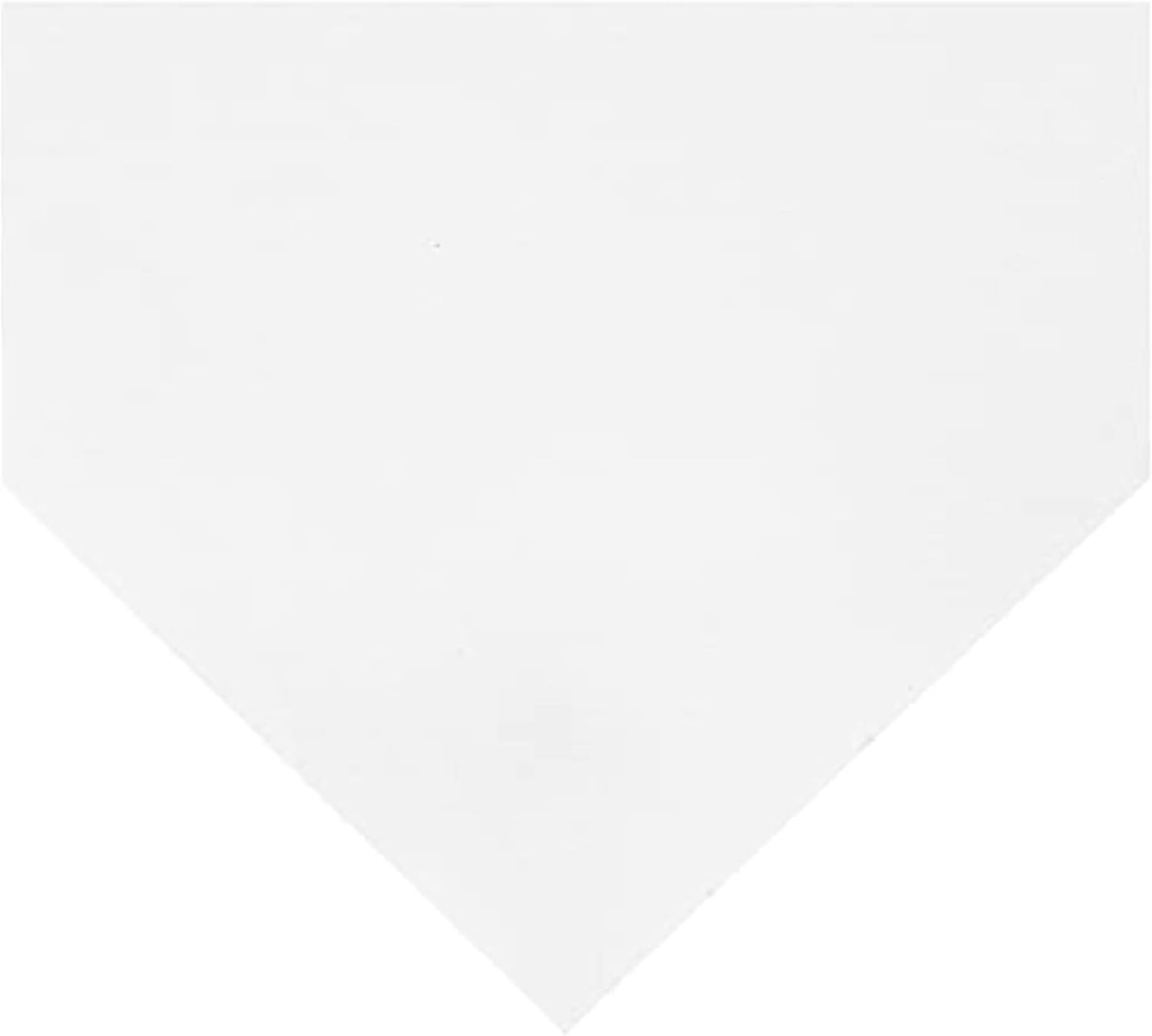 Canson Artist Series Montval Watercolor Paper, Roll, 48inx5yd (140lb/300g) - Artist Paper for Adults and Students - Watercolors, Mixed Media, Markers and Art Journaling