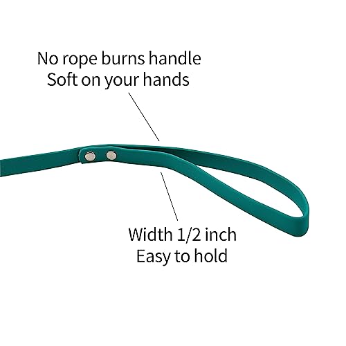 Long Dog Leash Training in Backyard