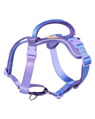 DF Freedom No Pull Martingale Dog Harness, Gentle Control for No Choking, Front Clip Harness with Reflective, 5 Point Adjustable and Safety Support Handle, Rainbow, 1
