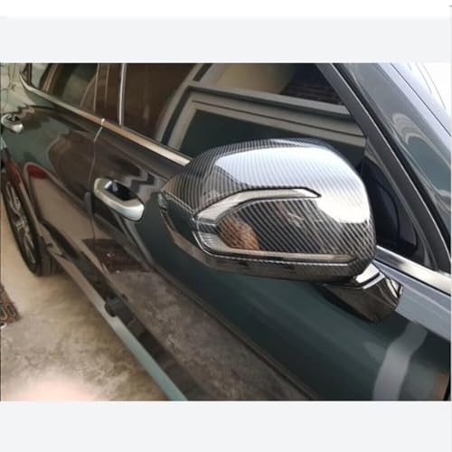 Coque de rétroviseur Hyundai Palisade pour protéger des rayures - 4