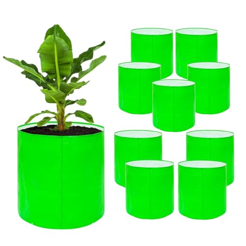 Image of Go Hooked Grow Bags for Gardening Vegetables Herbs & Flowers (Set of 10) Planter Bags for Home Balcony Terrace & Outdoor Farming (12 Inch, 250gsm) Heavy Duty Reusable Gallon Grow Bags (Round)