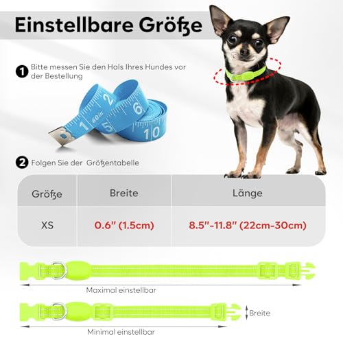 Kpuplol Leuchthalsband Hund, Hundehalsband Leuchtend, Wiederaufladbar Hundehalsband Leuchtend LED Halsband für Hunde Einstellbare Größe, 2 Beleuchtungsmodi für Kleine Mittlere Große Hunde
