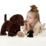 labrador marron yeux bleu 【Diversión y aprendizaje】Perfecto para juegos de rol, horas de cuentos o enseñanza sobre tema educativo. Estimula la imaginación y el vínculo emocional de los niños.