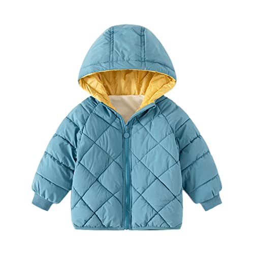 Generisch Abrigo grueso cálido con capucha para bebés y bebés, abrigo de invierno para bebé, chaqueta, ropa exterior, color sólido, chaquetas de verano, a, 2-3 años