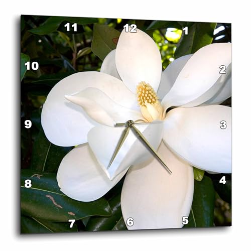 3dRose DPP_88102_1 Magnolia Tree-Us04 Dfr0009-David R. Frazier-Wall Clock, 10 by 10-Inch