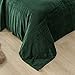 Exclusivo Mezcla Fleece Blanket King Size for Bed, Super Soft and Warm, All Season Use, Cozy, Plush, Lightweight, 90x104 Inches, Forest Green