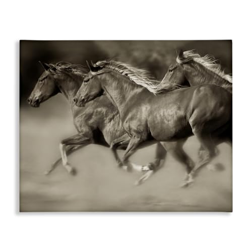 Galloping Horse Herd, 30 x 40 Inch Canvas Wall Art | Stupell Industries · By Lisa Dearing · Ideal for country inspired spaces · Ready to hang · Made in USA